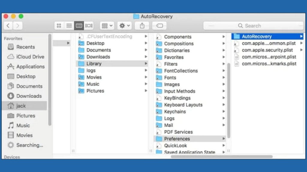 What Is AutoRecovery in Microsoft Word for Mac?